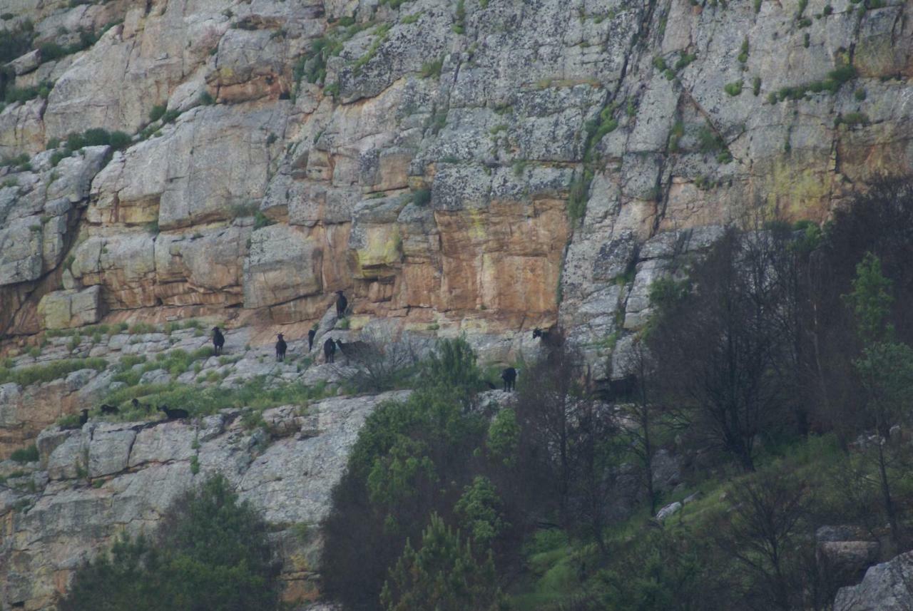 Monte Do Pego Villa Arneiro  Exteriör bild